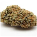 Шишки AK47 (Гидропоника, Бошка) VHQ в Петровске Шишки AK47 (Гидропоника, Бошка) VHQ в Петровске